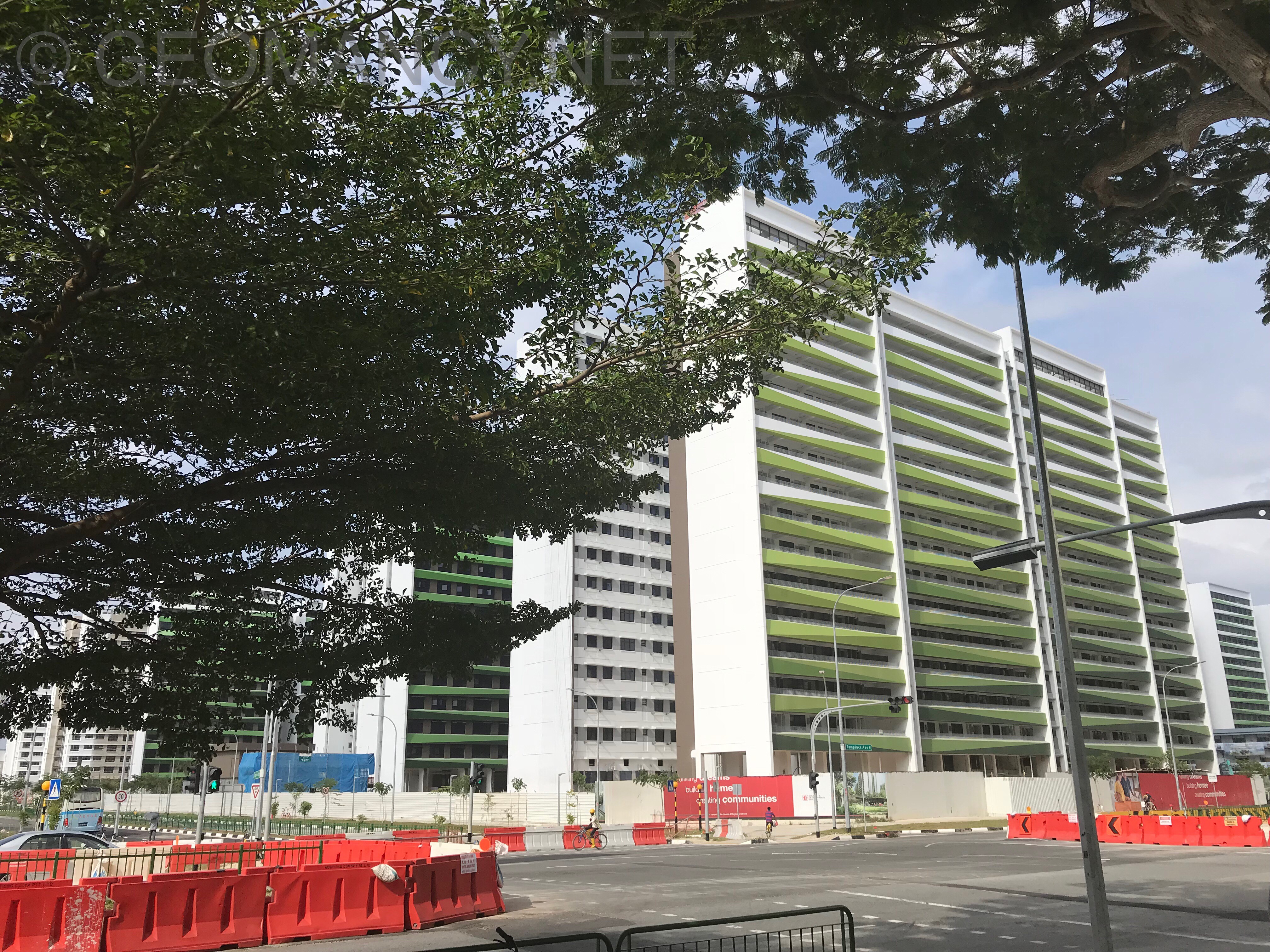  HDB  Tampines  Greenridges BTO Around Singapore FengShui 